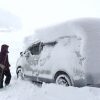 昆虫は降雪量を予想できるの？カメムシ大量発生＝大雪？